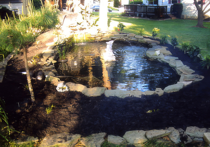 Pond-3 2x Pond with a stone border in a homes back yard